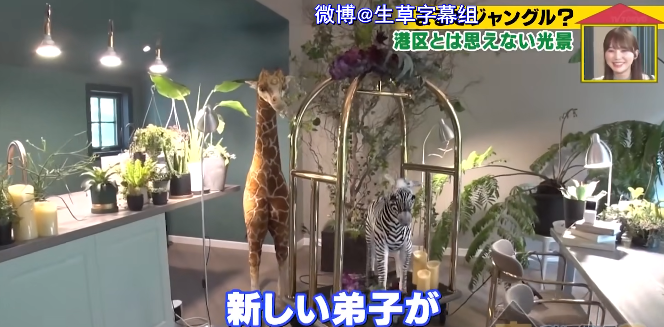 日本中年宅男迎娶小13岁白富美，5年后的婚姻生活，和想象的不太一样…