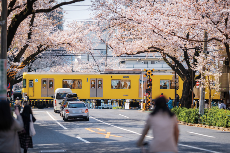 蜗居在都市的女人：8平米出租屋，我住了5年