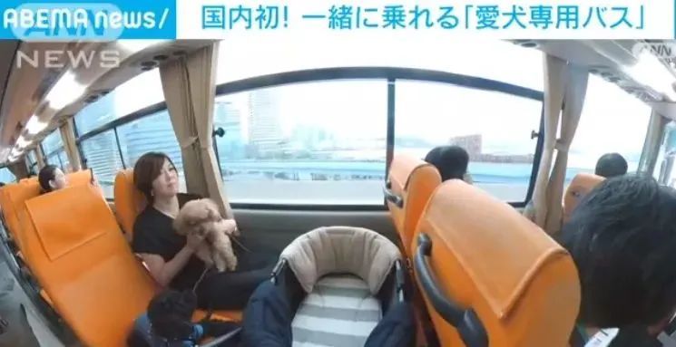 第140期：日本计划最早8月实施核污水排海；熊本熊时隔三年半来访中国