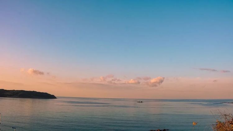 第140期：日本计划最早8月实施核污水排海；熊本熊时隔三年半来访中国