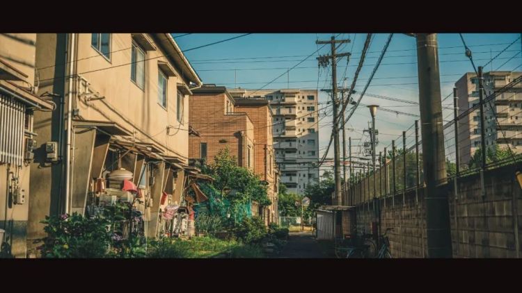 第140期：日本计划最早8月实施核污水排海；熊本熊时隔三年半来访中国