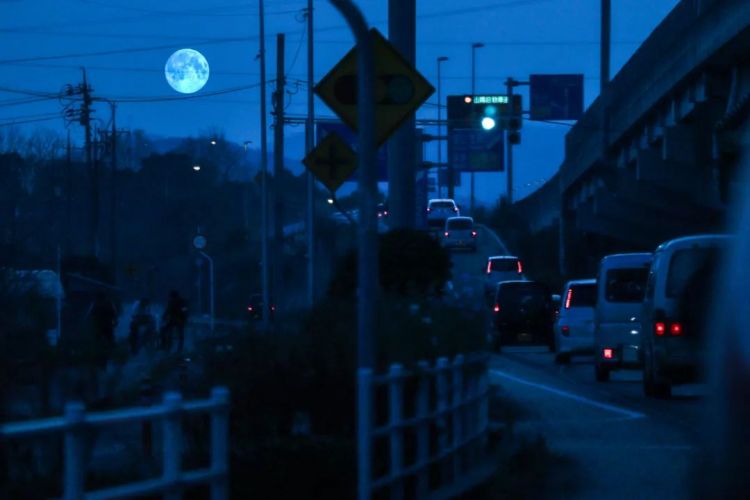 第140期：日本计划最早8月实施核污水排海；熊本熊时隔三年半来访中国
