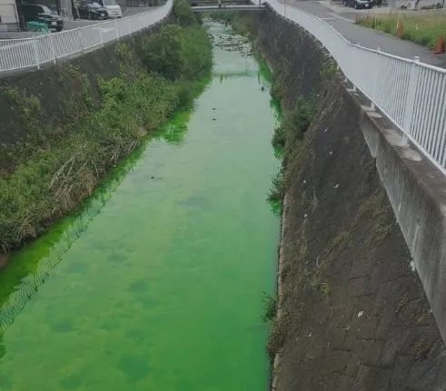 第140期：日本计划最早8月实施核污水排海；熊本熊时隔三年半来访中国
