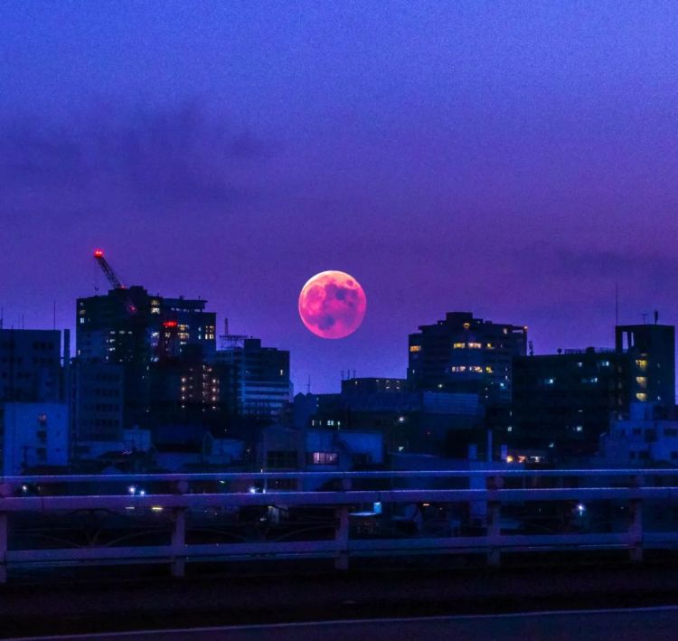 第140期：日本计划最早8月实施核污水排海；熊本熊时隔三年半来访中国