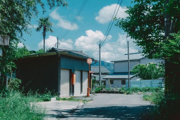 又一位日本知名艺人自杀；中国海关禁止进口日本福岛等十个县（都）食品