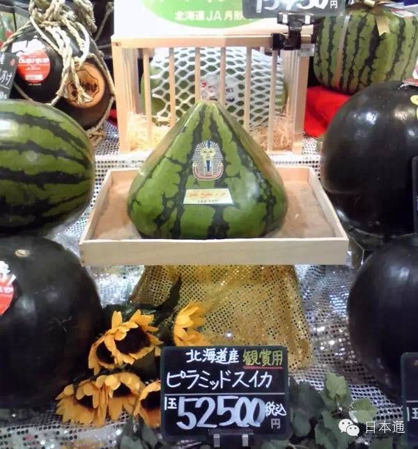日本人真的吃不起西瓜吗？