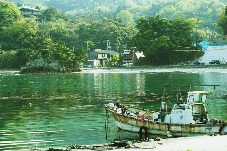 第142期：日本一公司不加班生育率增长了；日本国宝级帅哥排名公布 |百通板