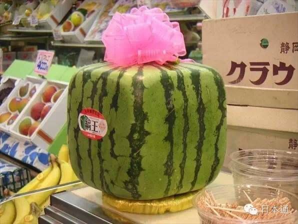 日本人真的吃不起西瓜吗？