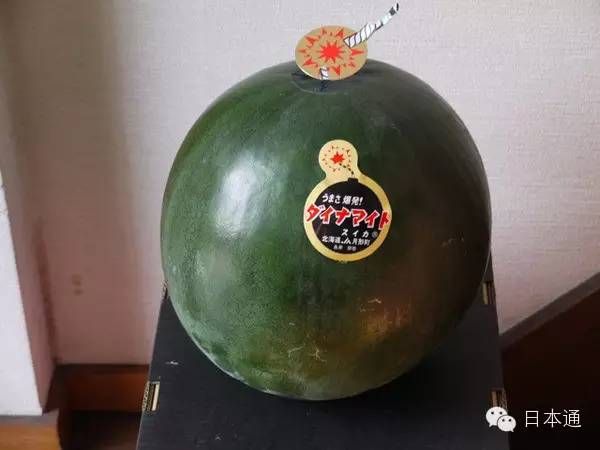 日本人真的吃不起西瓜吗？