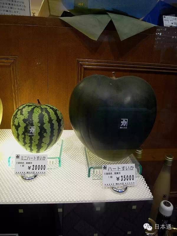 日本人真的吃不起西瓜吗？