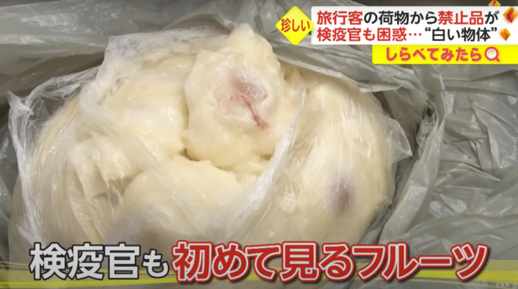 日本海关杀疯了,机场免税店买的也被没收,黑人小哥带了100多斤香蕉却通关了… 日本海关杀疯了,机场免税店买的也被没收,黑人小哥带了100多斤香蕉却通关了…