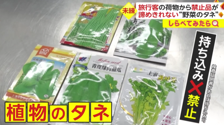 日本海关杀疯了,机场免税店买的也被没收,黑人小哥带了100多斤香蕉却通关了… 日本海关杀疯了,机场免税店买的也被没收,黑人小哥带了100多斤香蕉却通关了…