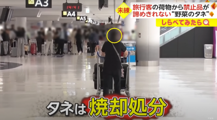 日本海关杀疯了,机场免税店买的也被没收,黑人小哥带了100多斤香蕉却通关了… 日本海关杀疯了,机场免税店买的也被没收,黑人小哥带了100多斤香蕉却通关了…