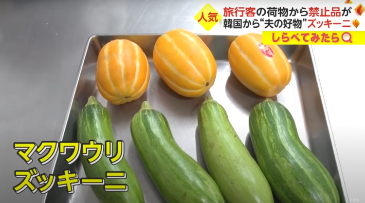 日本海关杀疯了,机场免税店买的也被没收,黑人小哥带了100多斤香蕉却通关了… 日本海关杀疯了,机场免税店买的也被没收,黑人小哥带了100多斤香蕉却通关了…