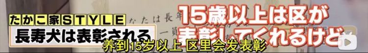 只结婚3个月，她却铭记了20年，这对日本夫妇，太好哭了...