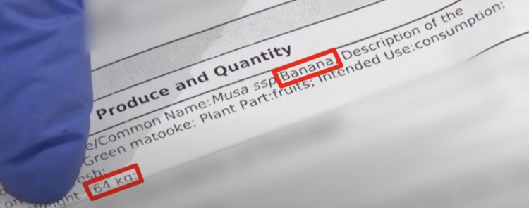 日本海关杀疯了,机场免税店买的也被没收,黑人小哥带了100多斤香蕉却通关了… 日本海关杀疯了,机场免税店买的也被没收,黑人小哥带了100多斤香蕉却通关了…