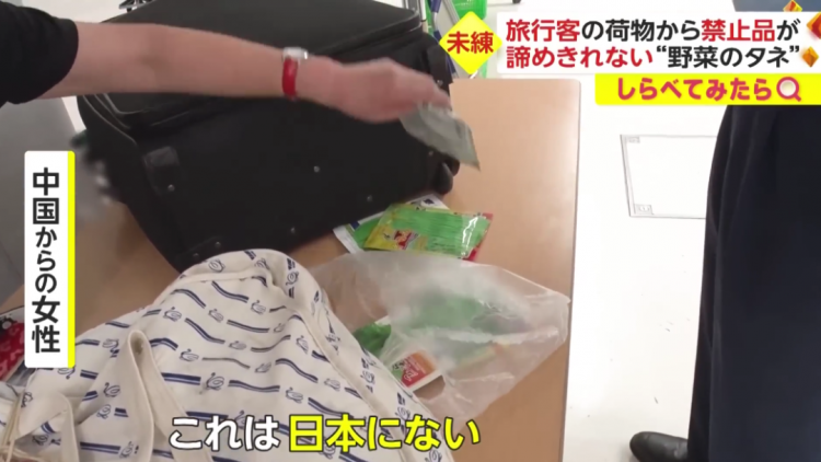 日本海关杀疯了,机场免税店买的也被没收,黑人小哥带了100多斤香蕉却通关了… 日本海关杀疯了,机场免税店买的也被没收,黑人小哥带了100多斤香蕉却通关了…