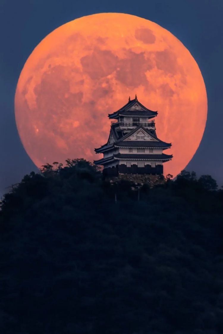 第144期：台风卡努致日本冲绳21万家庭断电；日本将放宽此签证要求 | 百通板