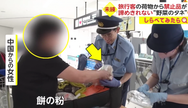 日本海关杀疯了,机场免税店买的也被没收,黑人小哥带了100多斤香蕉却通关了… 日本海关杀疯了,机场免税店买的也被没收,黑人小哥带了100多斤香蕉却通关了…