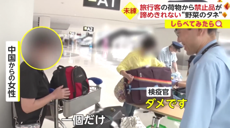 日本海关杀疯了,机场免税店买的也被没收,黑人小哥带了100多斤香蕉却通关了… 日本海关杀疯了,机场免税店买的也被没收,黑人小哥带了100多斤香蕉却通关了…