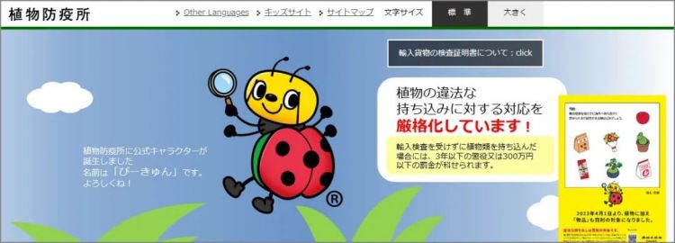 日本海关杀疯了,机场免税店买的也被没收,黑人小哥带了100多斤香蕉却通关了… 日本海关杀疯了,机场免税店买的也被没收,黑人小哥带了100多斤香蕉却通关了…