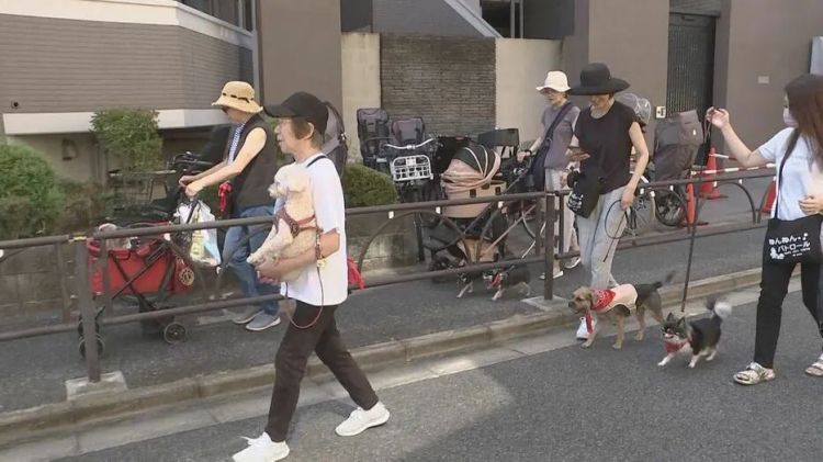 第144期：台风卡努致日本冲绳21万家庭断电；日本将放宽此签证要求 | 百通板