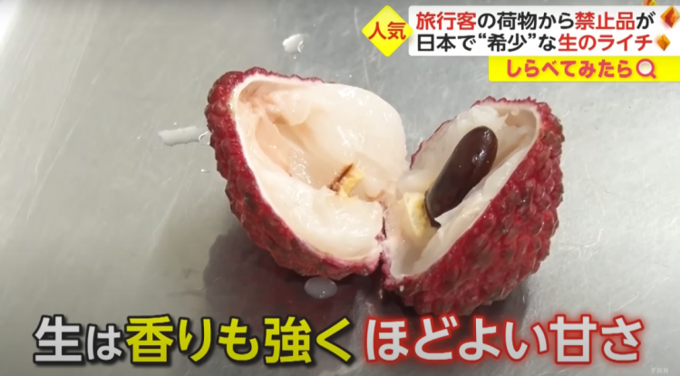 日本海关杀疯了,机场免税店买的也被没收,黑人小哥带了100多斤香蕉却通关了… 日本海关杀疯了,机场免税店买的也被没收,黑人小哥带了100多斤香蕉却通关了…