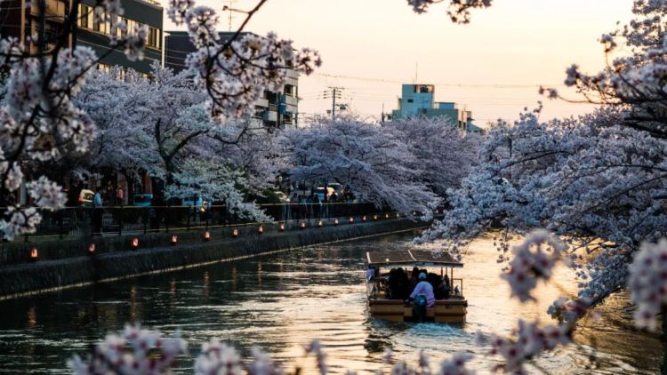日本最文艺的城市，肯定不是京都！
