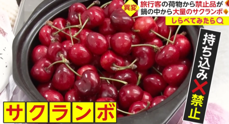 日本海关杀疯了,机场免税店买的也被没收,黑人小哥带了100多斤香蕉却通关了… 日本海关杀疯了,机场免税店买的也被没收,黑人小哥带了100多斤香蕉却通关了…