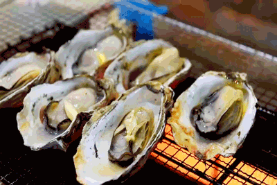 日本京都的昼夜三餐