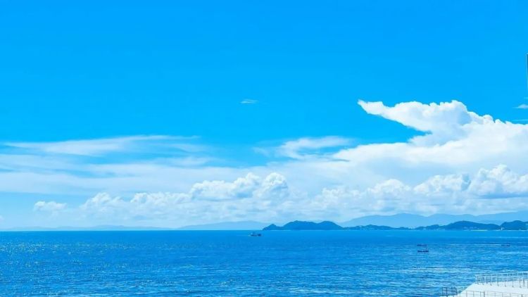 第146期：福原爱或面临国际通缉；日本世界级游泳冠军不雅照流出；日本知名漫画家去世 | 百通板