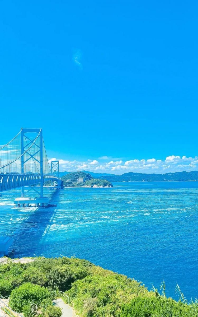 第148期：日本承认超6成储存核污水超标；福原爱疑似陷入经济危机；优衣库换新社长 | 百通板