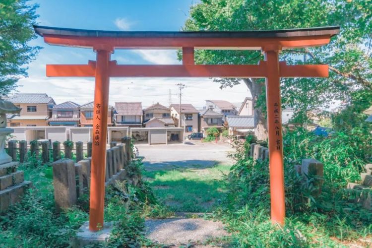第148期：日本承认超6成储存核污水超标；福原爱疑似陷入经济危机；优衣库换新社长 | 百通板