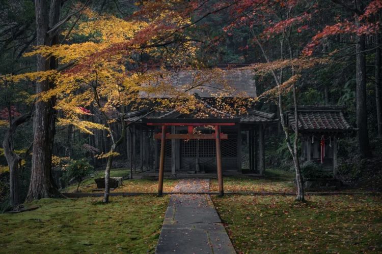 第152期：宝塚前成员退团后下海；日媒爆料泷泽秀明性骚扰；红白歌会不邀请杰尼斯艺人|百通板