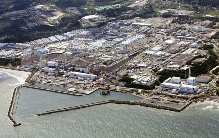 第152期：宝塚前成员退团后下海；日媒爆料泷泽秀明性骚扰；红白歌会不邀请杰尼斯艺人|百通板