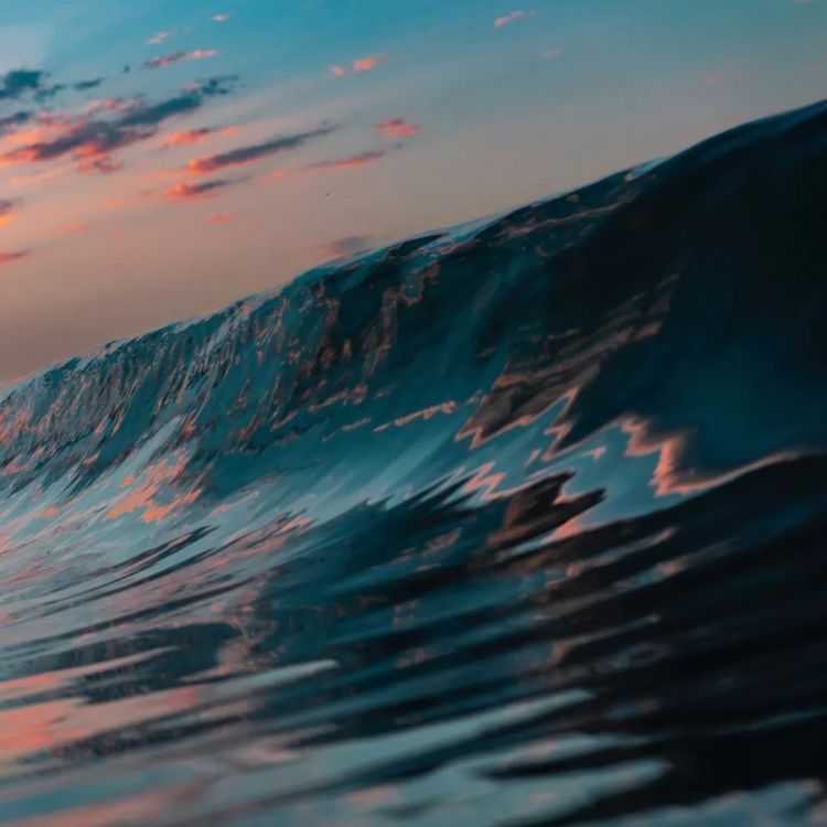 第153期:杰尼斯事务所改名;青山刚昌透露柯南新电影信息|百通板 第153期:杰尼斯事务所改名;青山刚昌透露柯南新电影信息|百通板