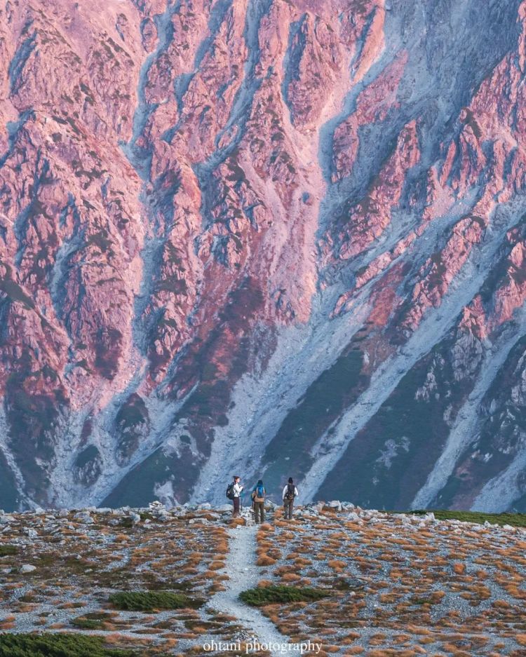 第153期:杰尼斯事务所改名;青山刚昌透露柯南新电影信息|百通板 第153期:杰尼斯事务所改名;青山刚昌透露柯南新电影信息|百通板