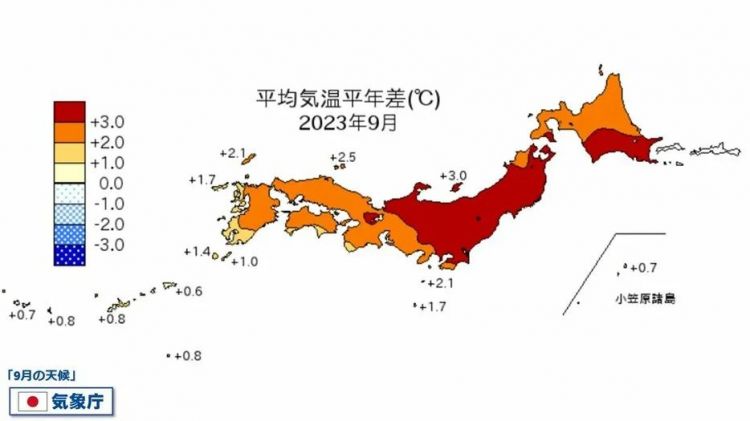 第153期:杰尼斯事务所改名;青山刚昌透露柯南新电影信息|百通板 第153期:杰尼斯事务所改名;青山刚昌透露柯南新电影信息|百通板