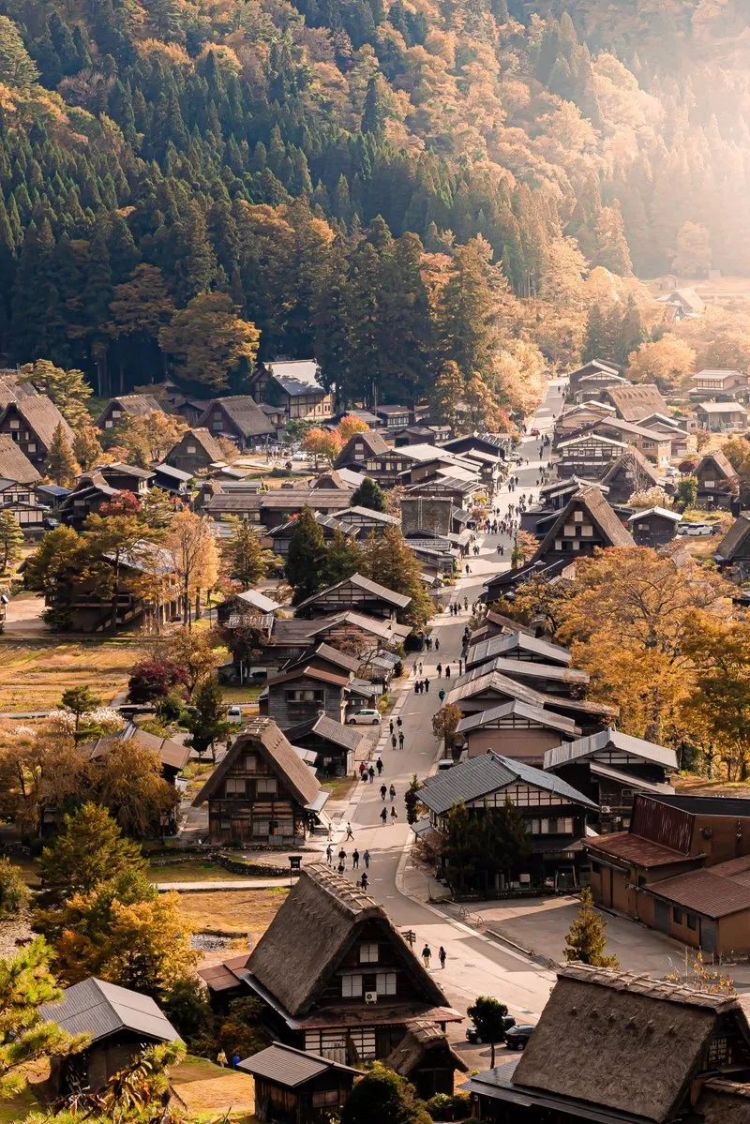 第155期：日本签证对部分省市收紧；取代福原爱的运动员出现