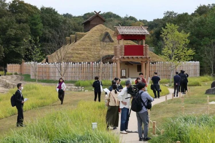 第157期：“新垣结衣婚后没以前可爱了”；日本首相岸田文雄给自己加薪30万惹争议 | 百通板