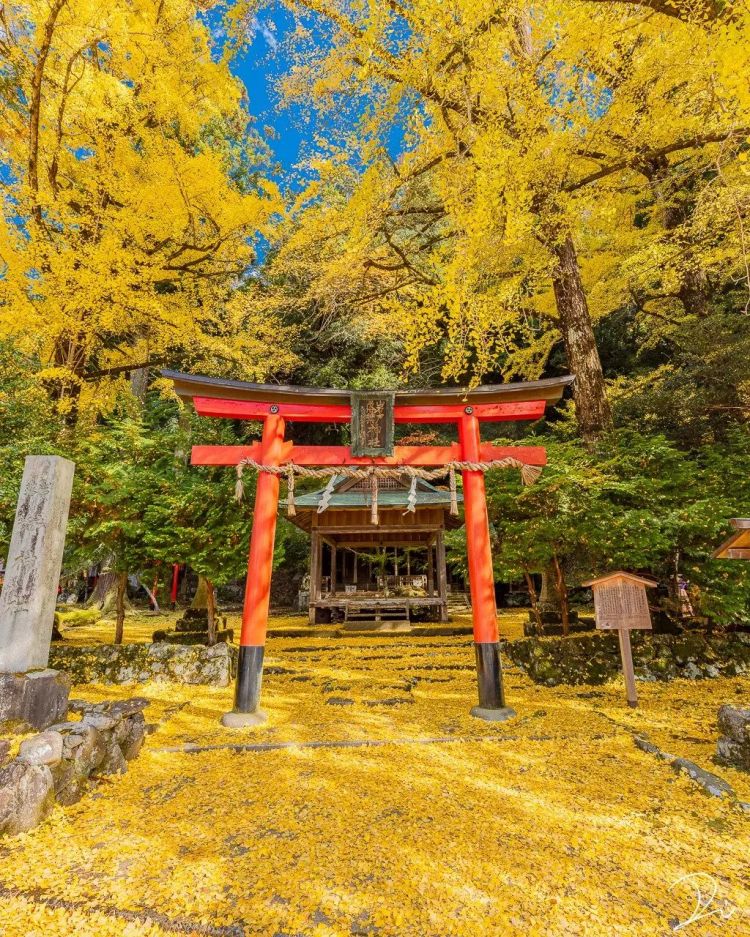 第159期：赴日旅游签证重大变革；日本放宽移民门槛；红白歌会公布最终出演名单 | 百通板