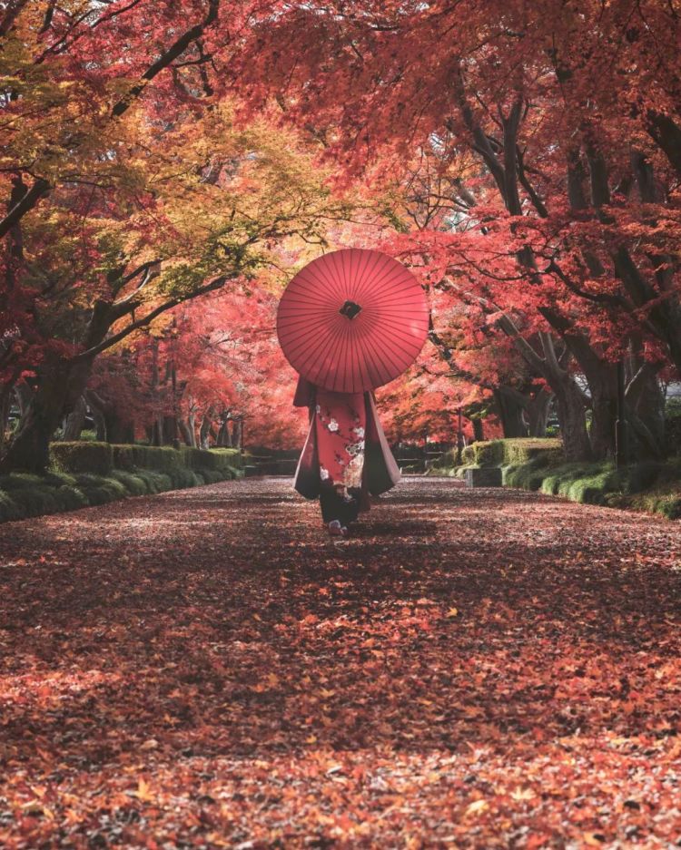 第159期：赴日旅游签证重大变革；日本放宽移民门槛；红白歌会公布最终出演名单 | 百通板