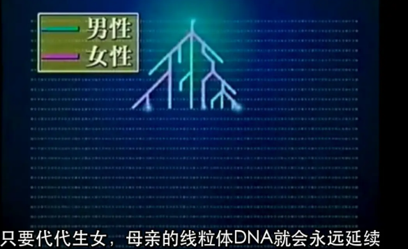 日本美女演员在中国找到“姐姐”：30000年前，她们拥有同一个母系祖先