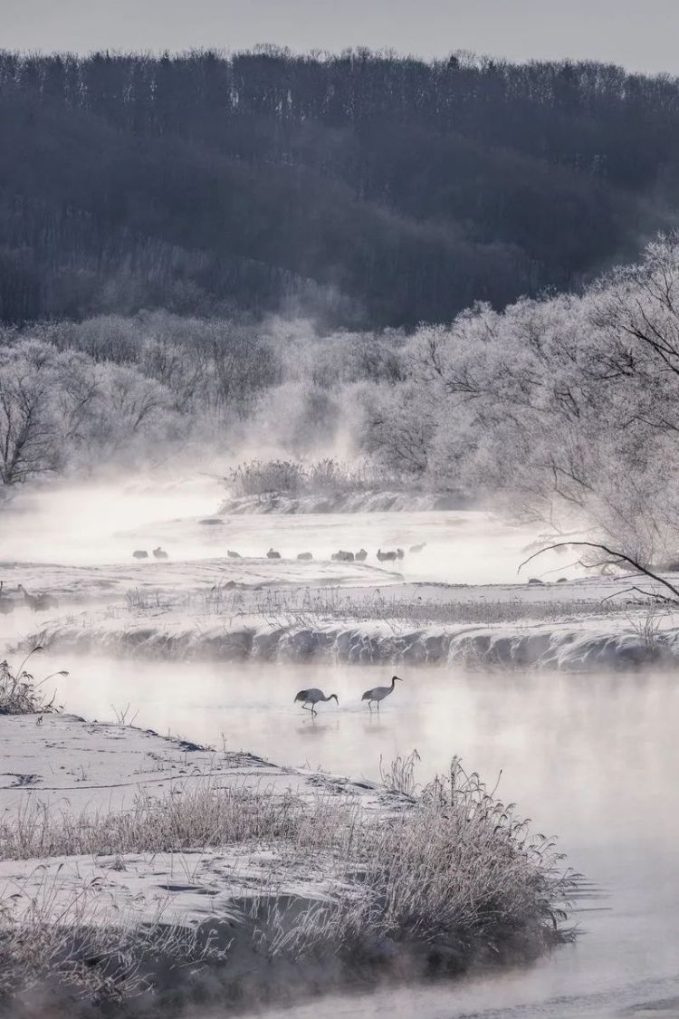 第169期：马来西亚博主在日本吃雪连烧8天；日本国脚被指控性侵；日本入境人数急剧增加 | 百通板