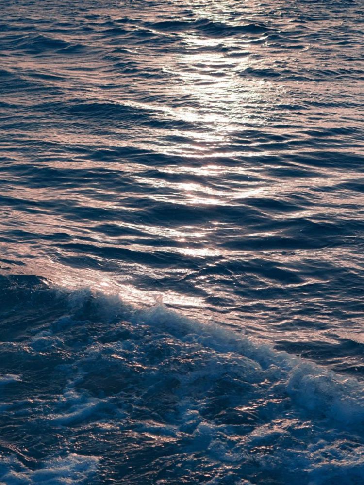 第170期：梅西日本行引争议；日本政府或将取消这些永住者的在留资格；中国将翻拍《白夜行》| 百通板