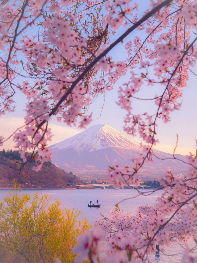 第170期：梅西日本行引争议；日本政府或将取消这些永住者的在留资格；中国将翻拍《白夜行》| 百通板