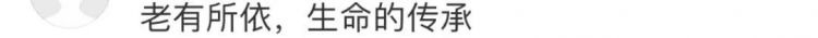 日本夫妻连生13个娃，每天凌晨2点睡4点起，网友：听着我已经窒息了....