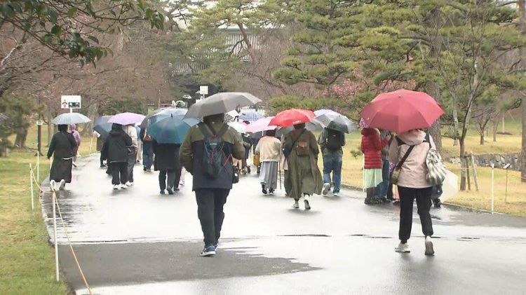 日本皇宫乾通23日向公众开放赏樱