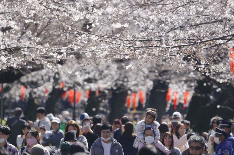 携程预测中国清明假期出境游日本人气第一