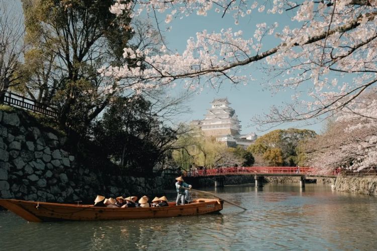 第178期：美依礼芽将举行上海演唱会；宝冢歌剧团承认集体霸凌；爱子公主工资曝光 | 百通板